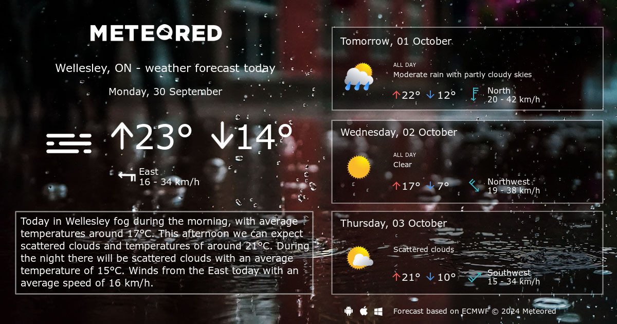 Weather Wellesley ON 14 days Meteored