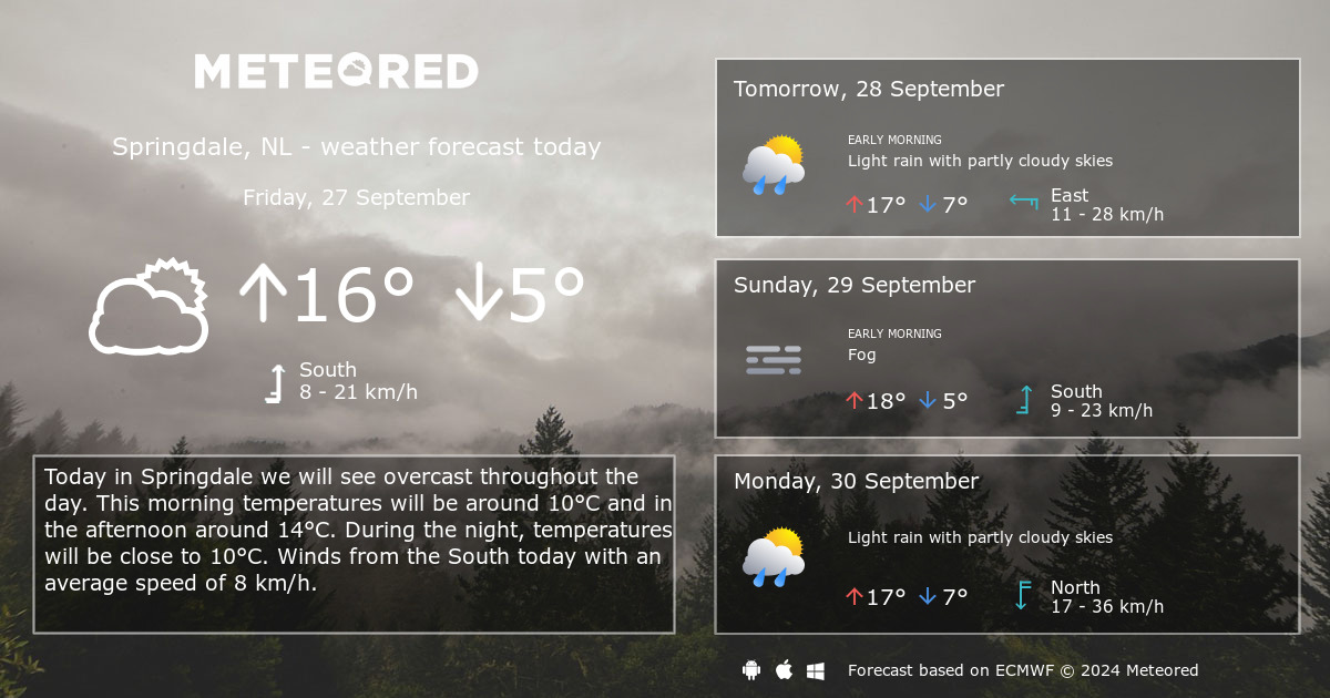 Weather Springdale Nl 14 Days Theweather Net